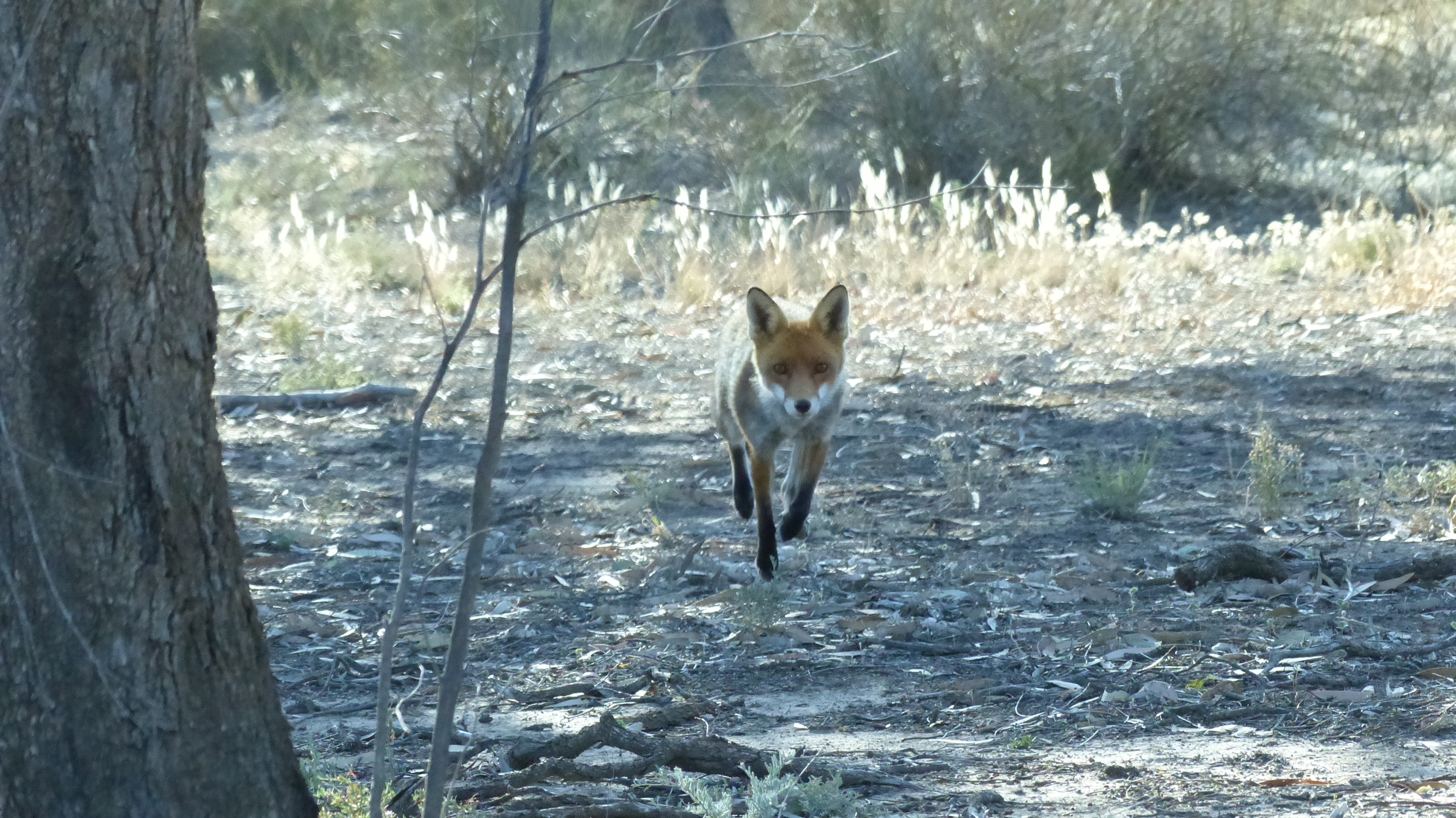 Field Staff Image 3